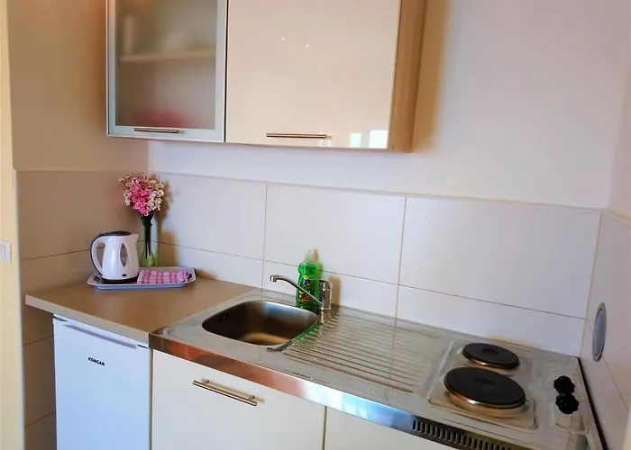 Apartamento With A Parking Space - 7896 Opatija