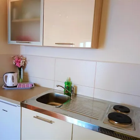 Appartement With A Parking Space - 7896 Opatija